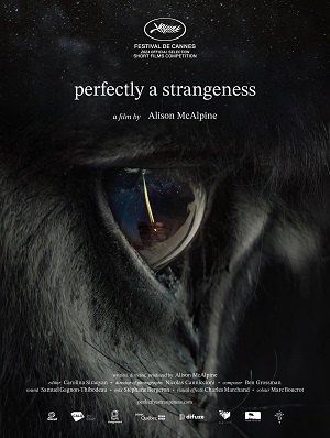 مستند کوتاه Perfectly a Strangeness
